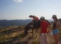 balades avec babâne et les chiens