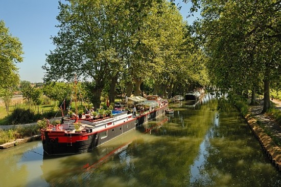 appart des anges -Péniche sur le canal du midi vers Beziers